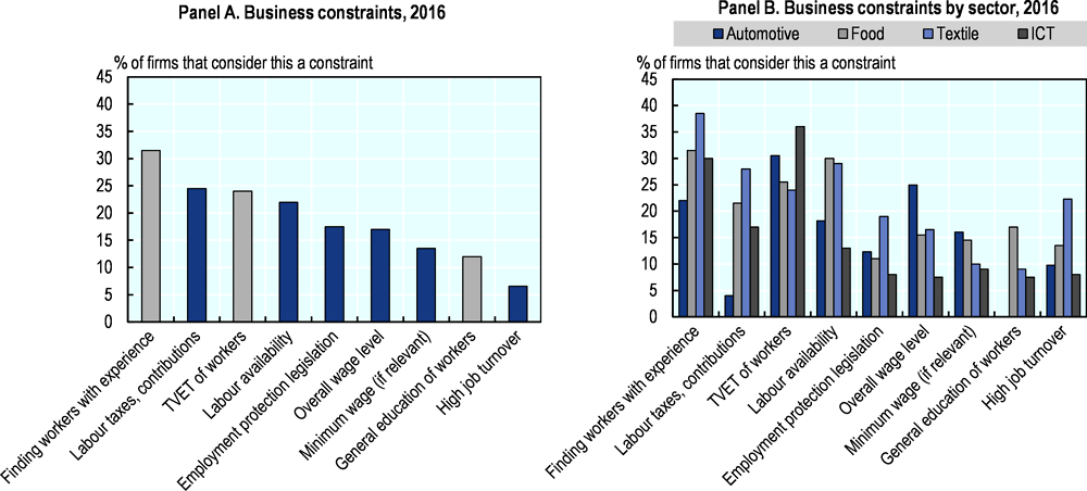 Figure 14.21. Skills are an important constraint for productivity growth and job creation across all key sectors 